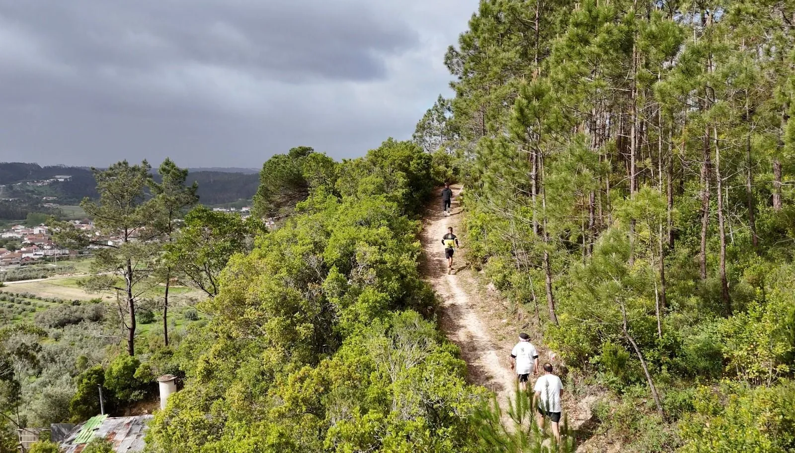 Trilhos Verdes — vista panorâmica